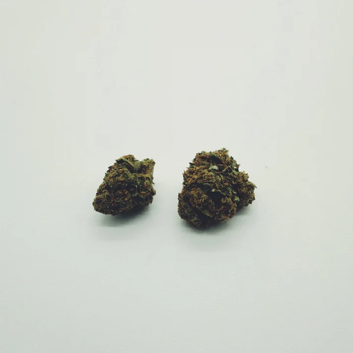 CBD Blüten Cookies 12% | Outdoor Small Buds | Hempvizer