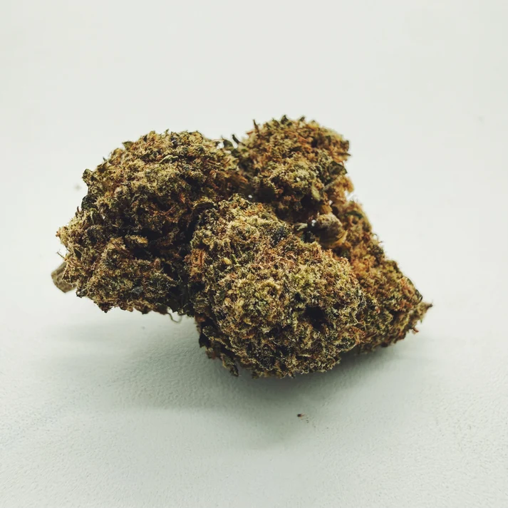 CBD Blüten Critical Mass 16% | Greenhouse | Hempvizer CBD Blüten